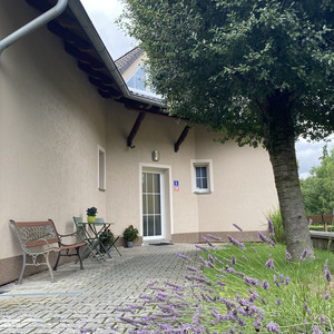 Vila Heda fotografie 21